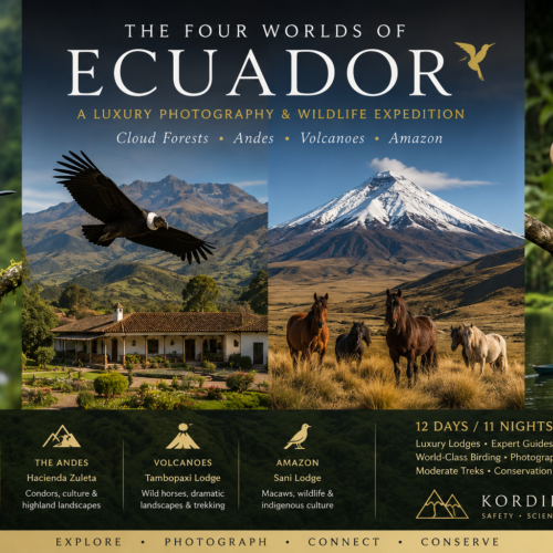 the four worlds of ecuador,