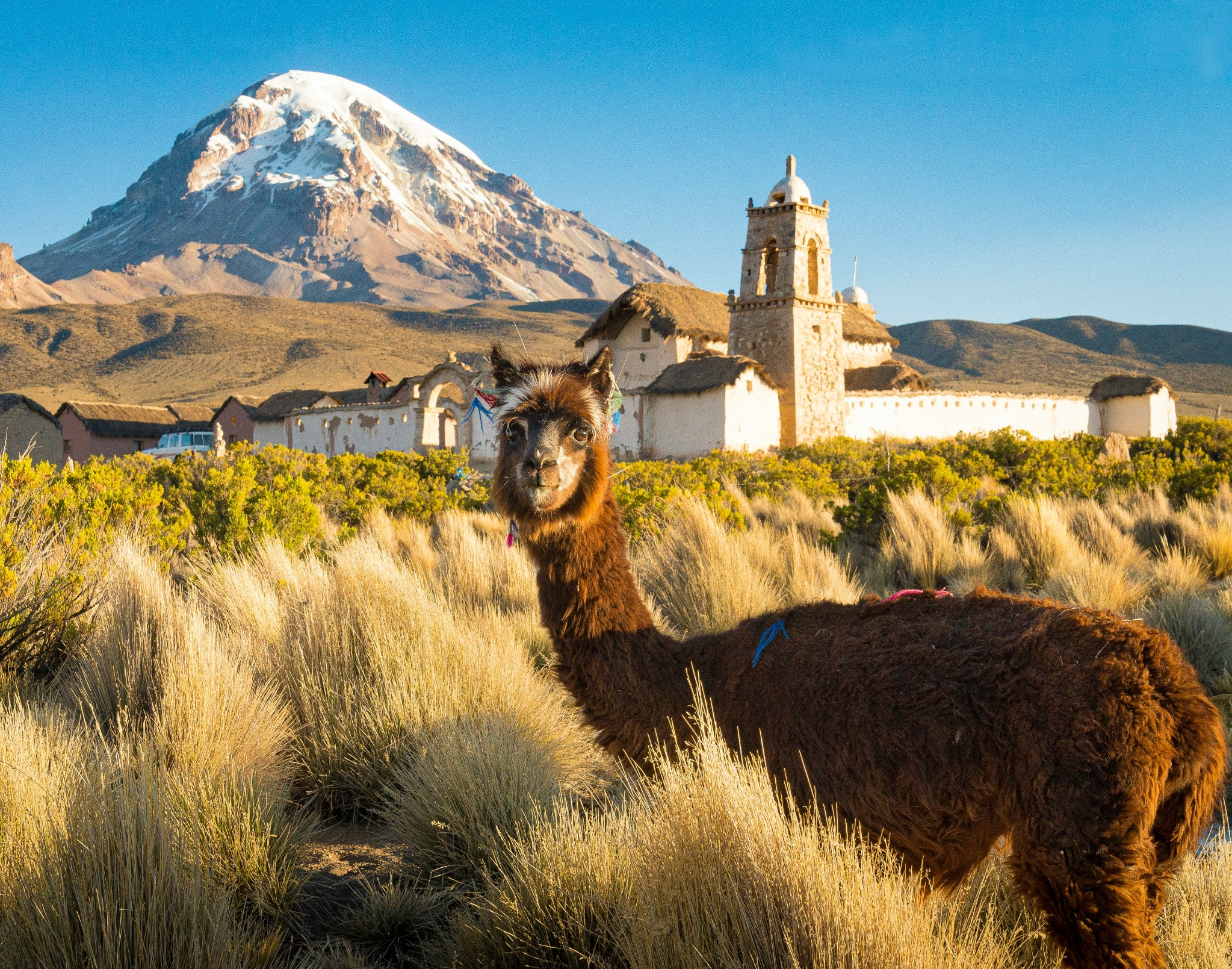 Sajama and Altiplano