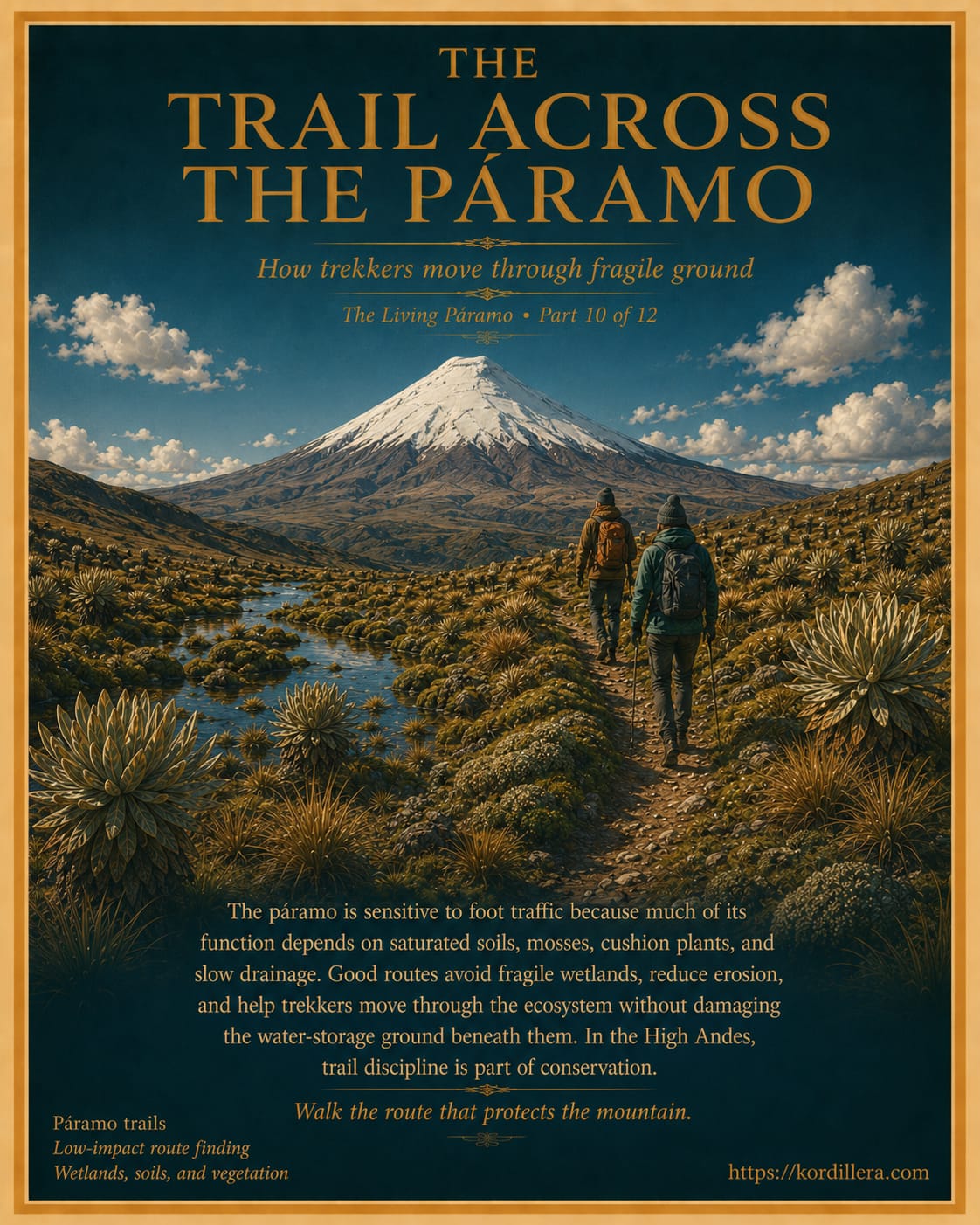 Trail Across The Paramo
